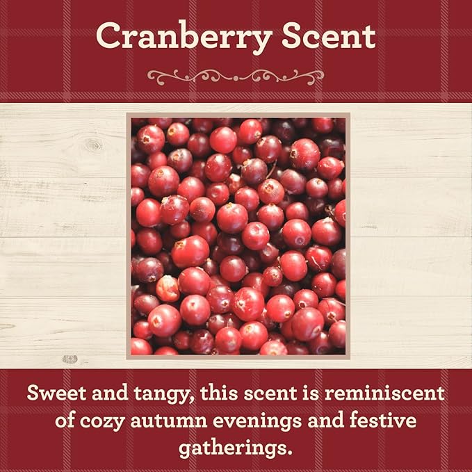 Our Own Candle Company, Cranberry Scented Mason Jar Candle, 100 Hour Burn Time, 13 Ounces - Bloomnest