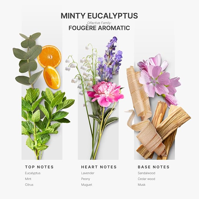 AromaPlan Hotel Scents Minty Eucalyptus 5 Fl Oz (148ml), Home Luxury Aroma & Hotel Fragrance Diffuser Oil- Hotel Diffuser Oil for Aromatherapy- USA Made, Bigger Bottle, Bolder Aroma & Longer Lasting - Bloomnest