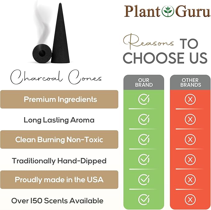 Nag Champa Charcoal Incense Cones 2" BACKFLOW - 60 Pack Bulk - Natural Scented Cones Handmade Hand Dipped - Bloomnest