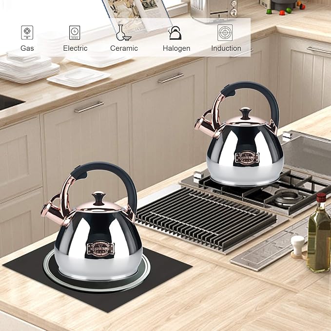 Tea Kettle Stovetop Whistling Kettle Teapot, 3Quart Tea Pot Stainless Steel Teakettle for Stove Top with Heat Proof Ergonomic Handle - Bloomnest
