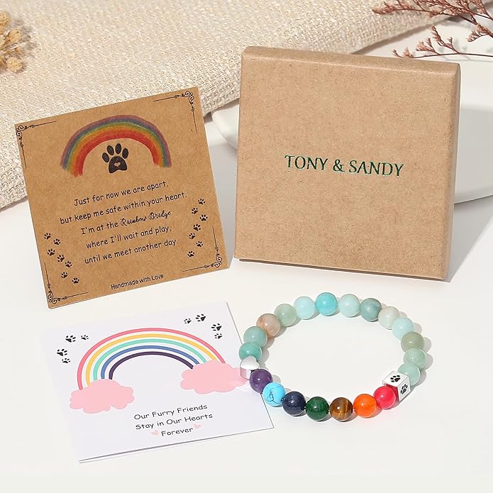 TONY & SANDY Dog Memorial Gifts, Pet Sympathy Rainbow Bridge Pet Memorial Bracelet for Men Women Girls Who Loss of Beloved Dog Cat - Bloomnest