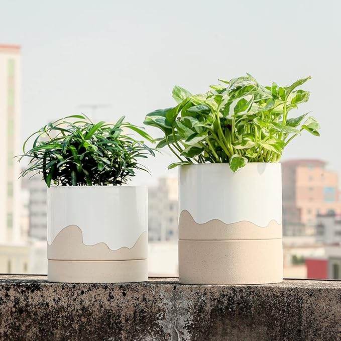 Nihow Ceramic Plant Pot: 6 Inch Planter with Drainage Hole & Saucer for Indoor & Outdoor Plants - Cylinder Round Flower Pot for Succulent/Herbs/Violets - White & Nature - Bloomnest