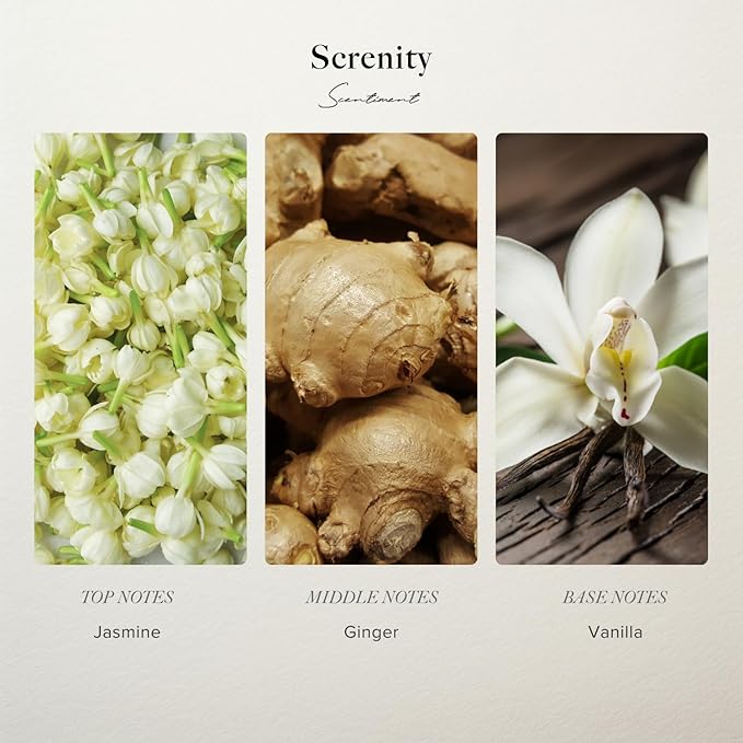 Scentiment Diffuers Oil - Serenity Hotel | Aromatherapy Home Fragrance | Inspired by Shangri-La Hotel® | Luxurious Scent with Notes of Jasmine, Ginger, Vanilla (120 mL) Scentiment