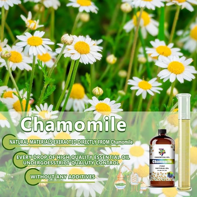 Chamomile Essential Oil (8 oz / 240 ml) – Chamomile Oils for diffusers, humidifiers, Home Baths, Cleaning Products, Yoga, DIY Soaps and DIY Scented Candles - Bloomnest