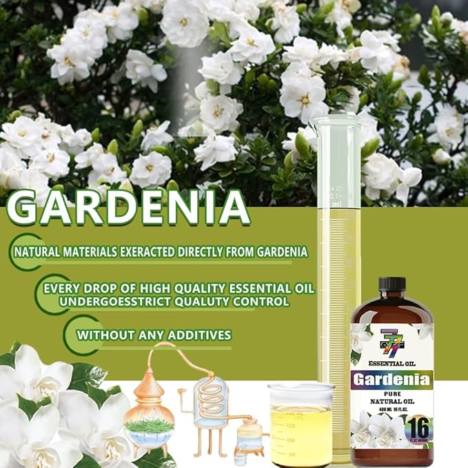 Gardenia Essential Oil (16 oz / 480 ml) – Gardenia Oils for diffusers, humidifiers, Home Baths, Cleaning Products, Yoga, DIY Soaps and DIY Scented Candles - Bloomnest
