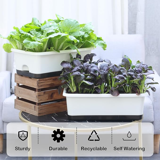 Window Box Planter 6 Pcs, 18 Inches Rectangle Flower Pots with Drainage Holes and Trays, Vegetable Planters for Windowsill Patio Garden Balcony Home Porch Yard Indoor Outdoor (White, 18*10*6 inch) - Bloomnest