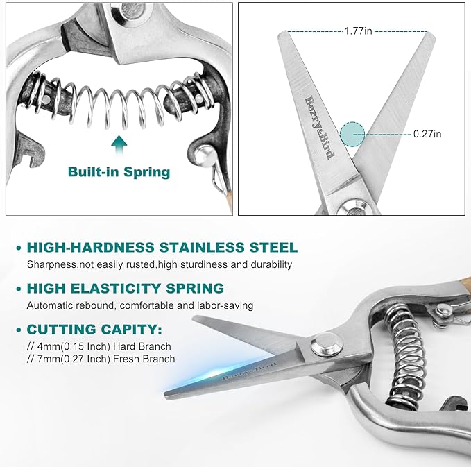 Berry&Bird Straight Pruning Shears with Stainless Steel Blades Garden Hand Pruner 8'' Scissors with Wooden Handle Clippers for Gardening Trimming Cutting Bonsai - Bloomnest