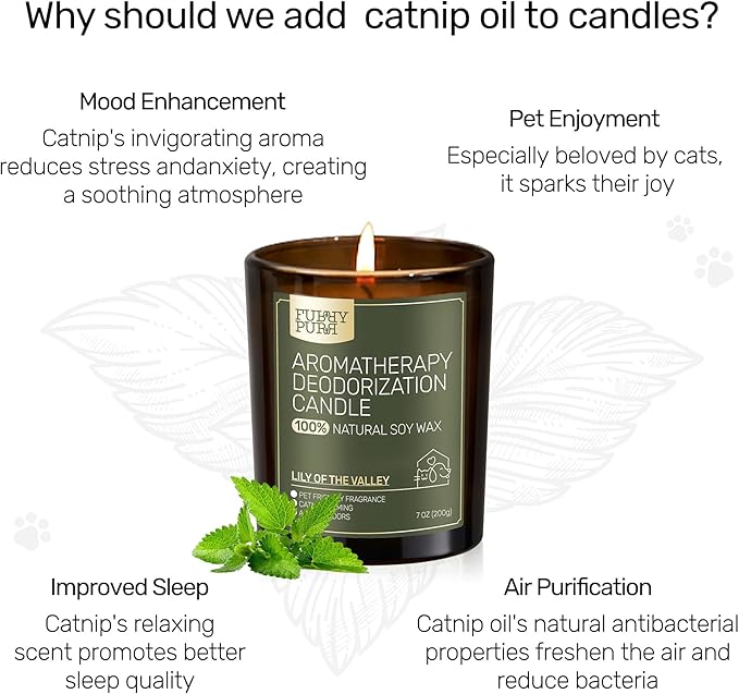 Odor Eliminating Candle, Lavender Cedar Scented Candle, Pet-Friendly Soy Candles, 60 Hours, 7 oz - Bloomnest