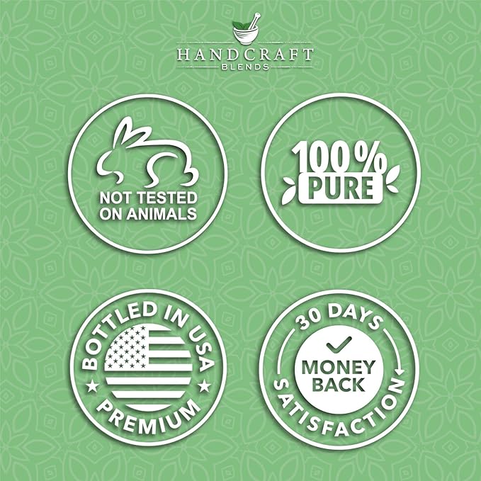 Handcraft Blends Basil Essential Oil – 0.33 Fl Oz – Pack of 2 – 100% Pure and Natural – Premium Grade Essential Oil for Diffuser and Aromatherapy, Skin, Massage, Candle and Soap Making Fragrance - Bloomnest