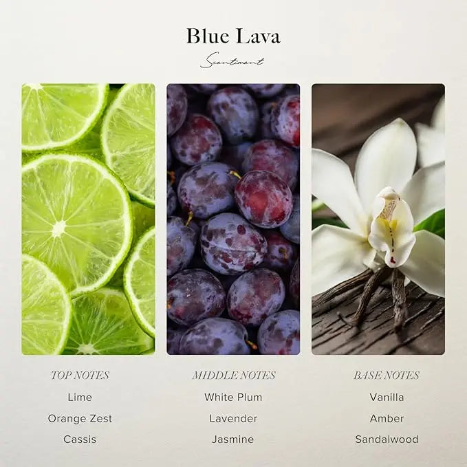 Scentiment Diffuser Oil - Blue Lava Designer Collection | Aromatherapy Home Fragrance | Luxurious Scent with Notes of Lime, Orange Zest, Cassis, Green Leaves (50 mL) Scentiment