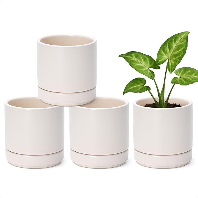 D'vine Dev Set of 4 Small Ceramic Plant Pots, 4.7 Inch Succulent Planter Pot for Plants with Drainage Hole and Saucer, Oatmeal, 94-X-B-8 - Bloomnest