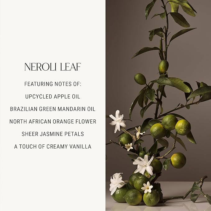 Homecourt Luxury Candle, Neroli Leaf Scent, 60-Hour Burn Time, Soy Wax Blend, Organic Cotton Wick, Reusable Kiln-Fired Ceramic Vessel, 8 Oz, 2.0 - Bloomnest