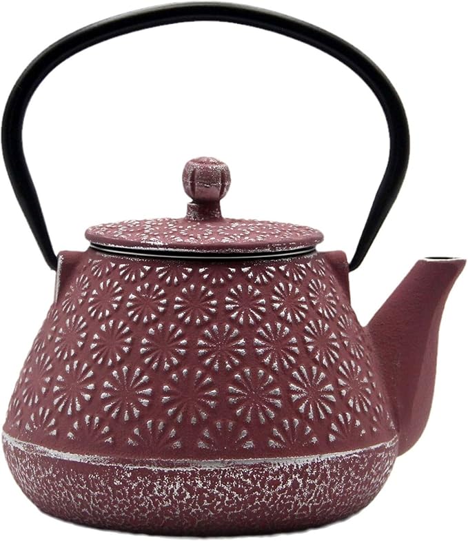 Cast Iron Teapot, 20.3oz Small, Enameled Interior, Stainless Steel Infuser for Loose Tea (Pink Gerbera Pattern) - Bloomnest