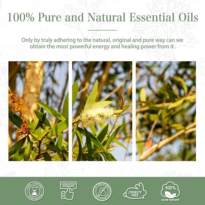 Australian Tea Tree 1.01fl.oz Essential Oil, PHATOIL Pure Aromatherapy Oils for Diffuser, Humidifier, Perfect for DIY Soap, Candle, Bath Bombs Making(30ml) PHATOIL