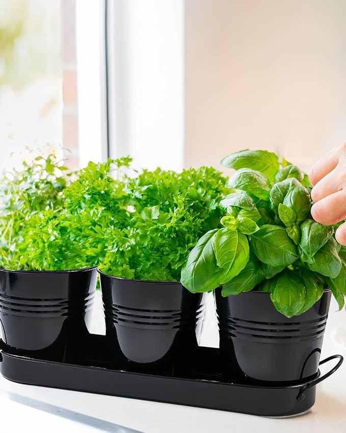 vensovo Indoor Herb Planter Set - Galvanized Windowsill Garden Pots with Tray & Drainage, Set of 3 Metal Window Planters for Kitchen & Outdoor Use, Black - Bloomnest