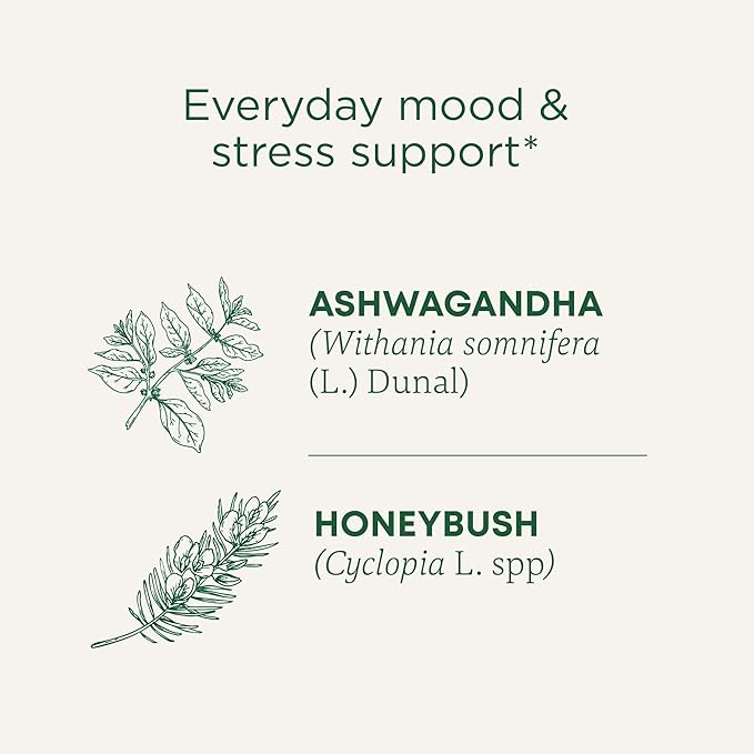 Traditional Medicinals Organic, Stress Ease Calm with Adaptogens, Ashwagandha & Honeybush - Promotes Relaxation - Kosher, Non-GMO, Caffeine-Free, Compostable - 16 Tea Bags - Bloomnest