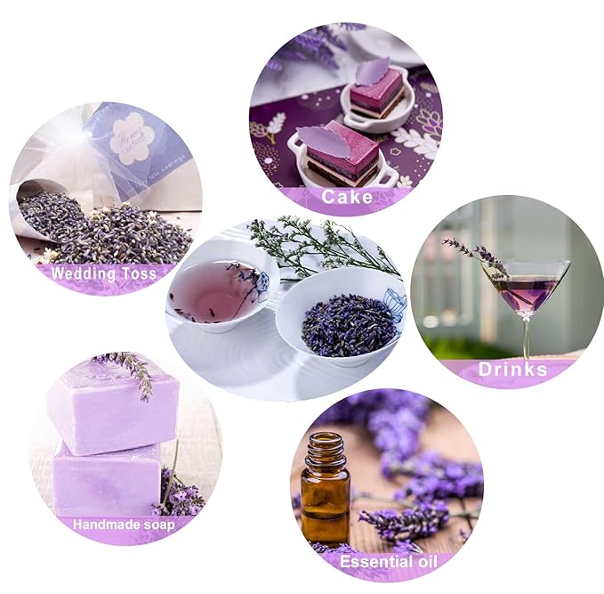 TIAN HU SHAN Dried Lavender Flower Buds, Culinary Food Grade for Baking, Fresh Fragrance, 4 Ounce, Caffeine Free Suger Free Vegan Herbal Tea, Packing in Bulks - Bloomnest