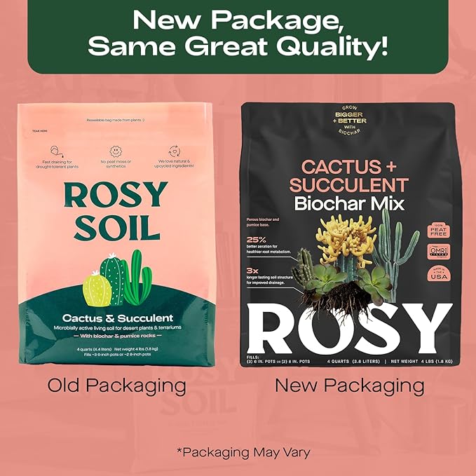Cactus and Succulent Organic Potting Soil Mix for House Plants - Fast Draining, Root Boosting, Peat-Free, Less Prone to Gnats - Drought-Tolerant - Growth of Aloe Vera, Cacti and Indoor Succulents- 4qt - Bloomnest