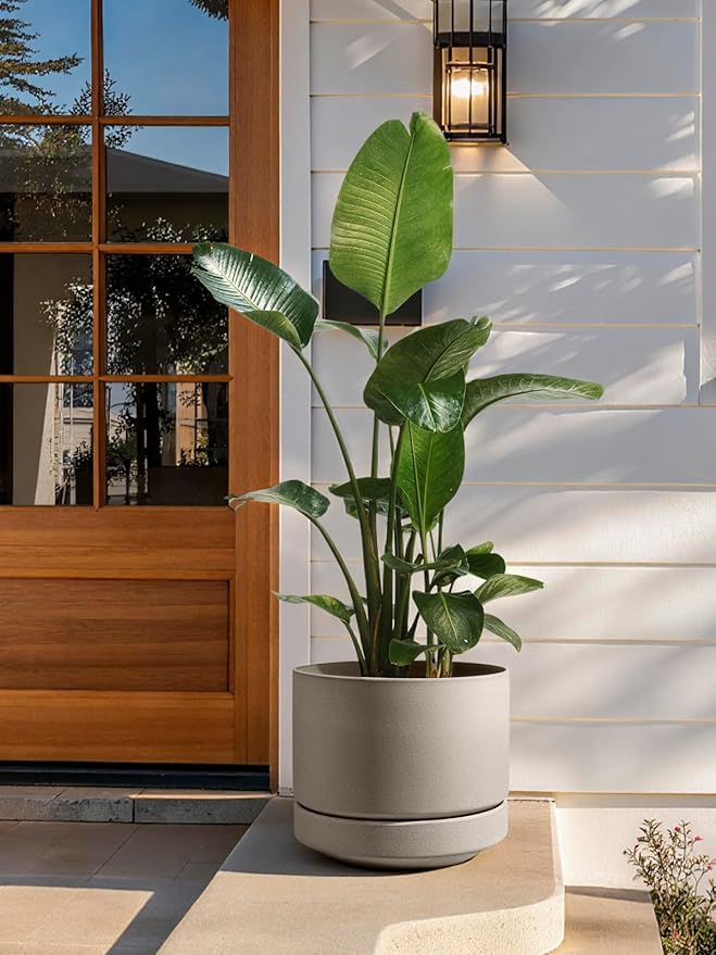 LE TAUCI Large 14 Inch Plant Pot with Saucer | Ceramic Outdoor & Indoor Big Planter Pot | Drainage Hole, Mesh Pad & Plug | Unglazed Porous | Modern Minimalist for Home and Patio – Neutral Gray - Bloomnest