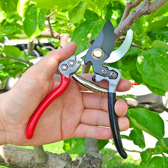 Ultra Sharp Germany Steel Pruning Shears - Cuts 3X Easier, Weak Hand Arthritis Snips, Rust-Resistant, Effortlessly 1-Inch Cut Capacity Garden Scissors, Ergonomic Handle (gt-05, 1) - Bloomnest