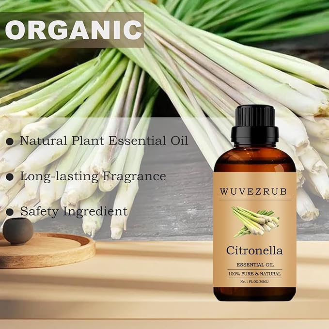 Citronella Essential Oils, 30ML Pure and Natural Essential Oil for Aromatherapy Diffuser - Citronella /1 Fl Oz - Bloomnest