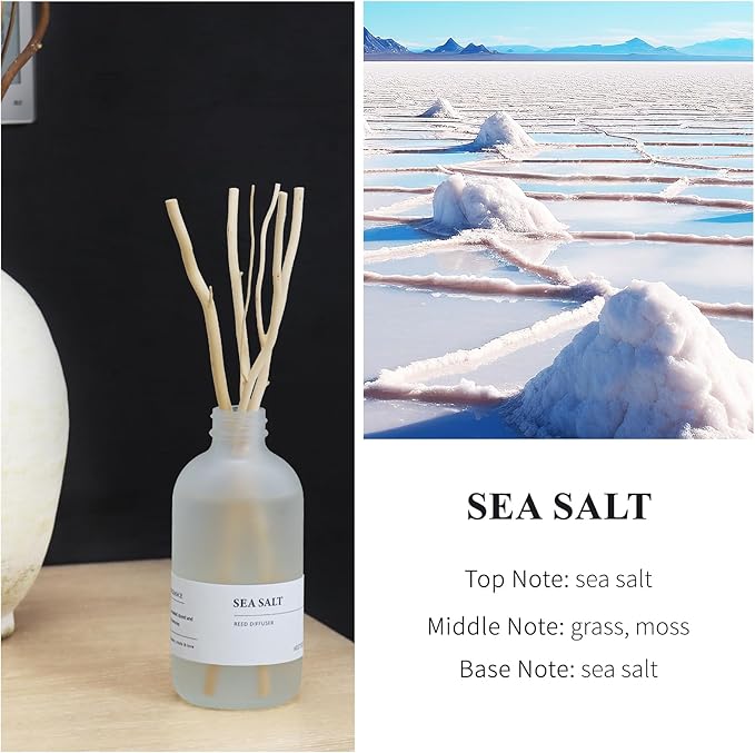 Sea Salt Reed Diffuser, 7.4oz(220ml) Sea Salt Musk and Grass Essential Oils, Bathroom Air Freshener with Willow Branches Decor, Long Lasting Fragrance for Home (1-Pack) AEETEEKHOMEFRAGRANCE