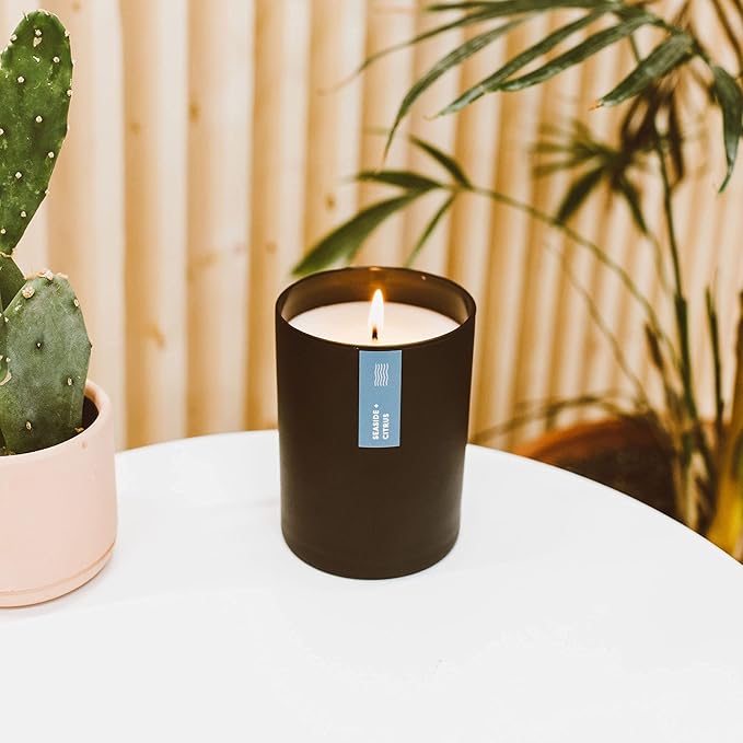 Calyan Wax Co. Seaside & Citrus Scented Candle - 75 Hour Burn - Luxury Non Toxic Soy Wax Candles - Long Lasting Black Tumbler Jar Candle for Home - 10.2oz - Bloomnest