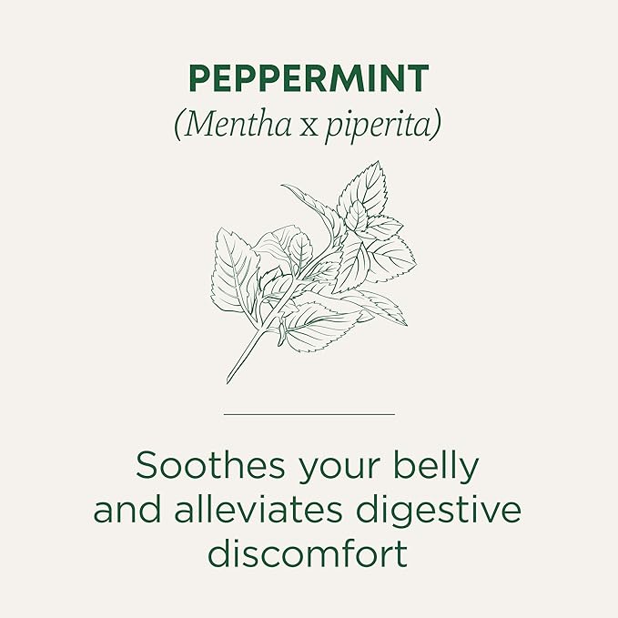 Traditional Medicinals Tea, Organic Peppermint, Soothes Your Belly, Refreshing & Minty, 48 Tea Bags - Bloomnest