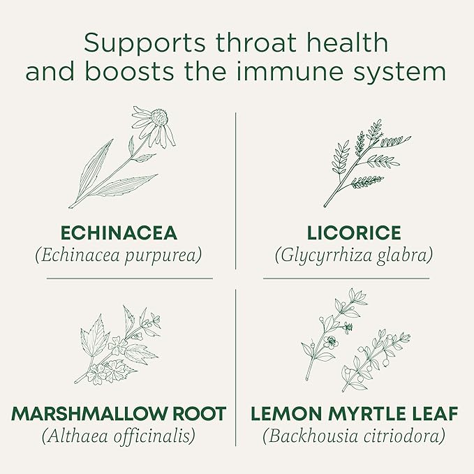 Traditional Medicinals Tea, Organic Throat Coat Lemon Echinacea, Supports Throat Health & Immune Function, 96 Tea Bags (3 Pack) - Bloomnest