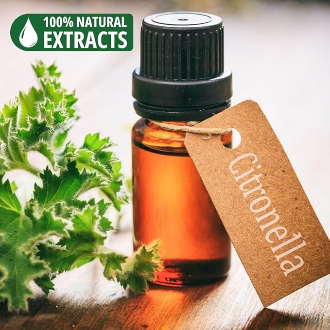Bless-Citronella 100%-Natural-Handmade-Hand-Dipped-Incense-Sticks Organic-Chemicals-Charcoal-Free Purification-Relaxation-Positivity-Yoga-Meditation Best-Woods-Scent (80 Sticks (4.20 OZ))