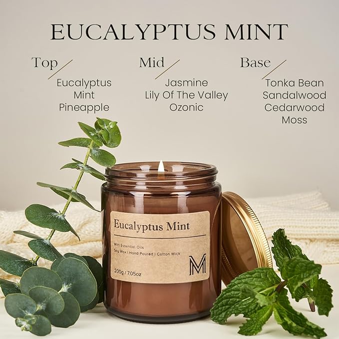 M&SENSE Eucalyptus Mint Home Scented Candle for Relaxation, Gifting, Spa | 7.05oz Candle Gift for Birthday Mother's Housewarming Valentine - Bloomnest