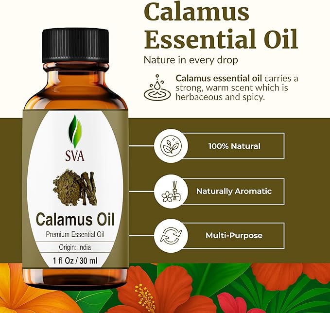 SVA Calamus Essential Oil – 1 Fl Oz – 100% Natural Calamus Oil - for Diffuser, Hair Care, Face, Skin Care, Aromatherapy, Scalp and Body Massage, Soap and Candle Making – with Dropper - Bloomnest