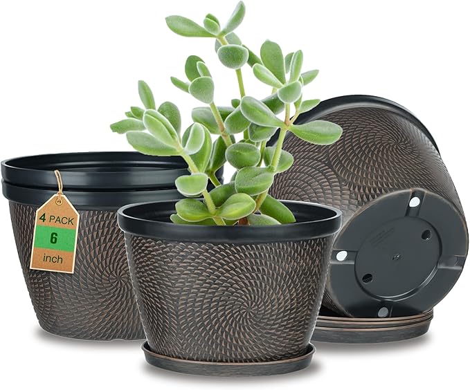 Quarut 4 Pack 6 Inch Flower Pots for Outdoor Indoor, Plastic Plant Pots with Drainage Hole & Saucer, Lightweight Small Flower Pot, Circle Pattern Planters for Garden House planters（Black Copper） - Bloomnest