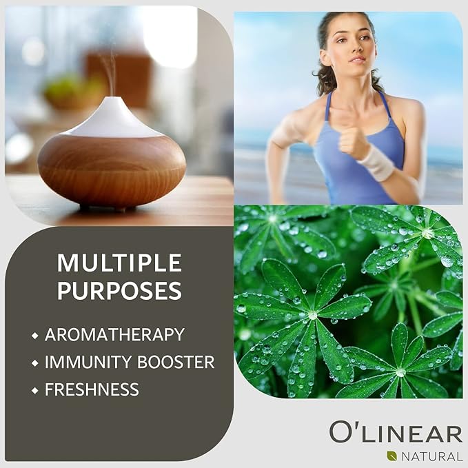 O'linear Natural Essential Oil for Diffuser for Home & Humidifier, Eucalyptus Oil for Steam Room Sauna Long-Lasting Aromatherapy, 100% Pure Eucalyptus Essential Oil Drops for Deep Breath - Bloomnest