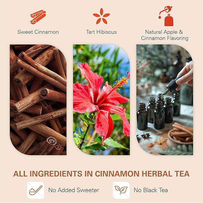 WT WEETEE Apple Cinnamon Herbal Tea Bags, 60 Count, Perfect Blend of Sweet Cinnamon, Tart Hibiscus, Natural Flavoring, Caffeine-Free - Bloomnest