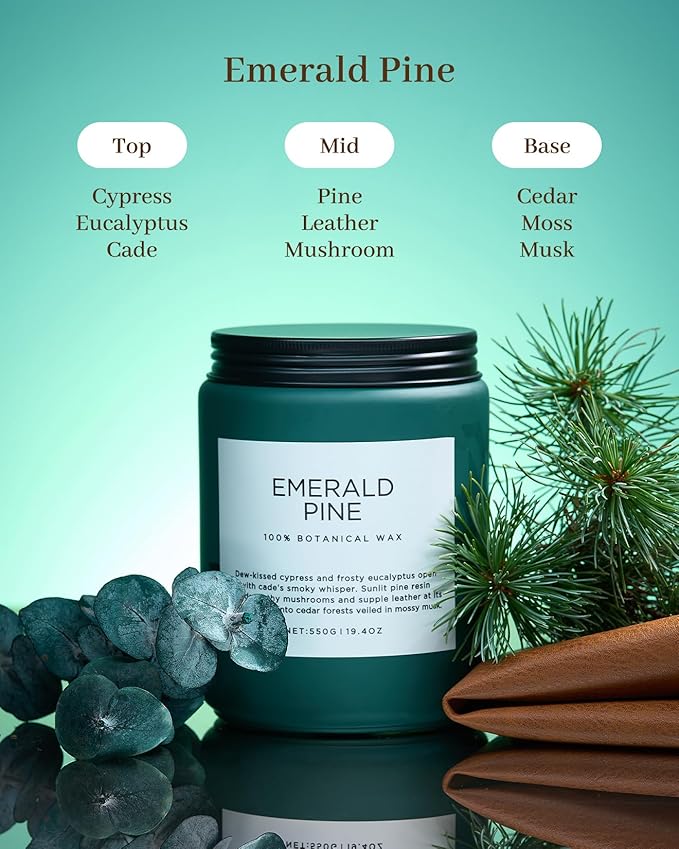 M&SENSE Pine Scented Candles Natural Soy Wax Clean Non Toxic 19.4oz 110 Hours Large Long Lasting Christmas Winter Scented 2 Wicks Candle Gift for Holiday & Family Friends Teachers - Bloomnest