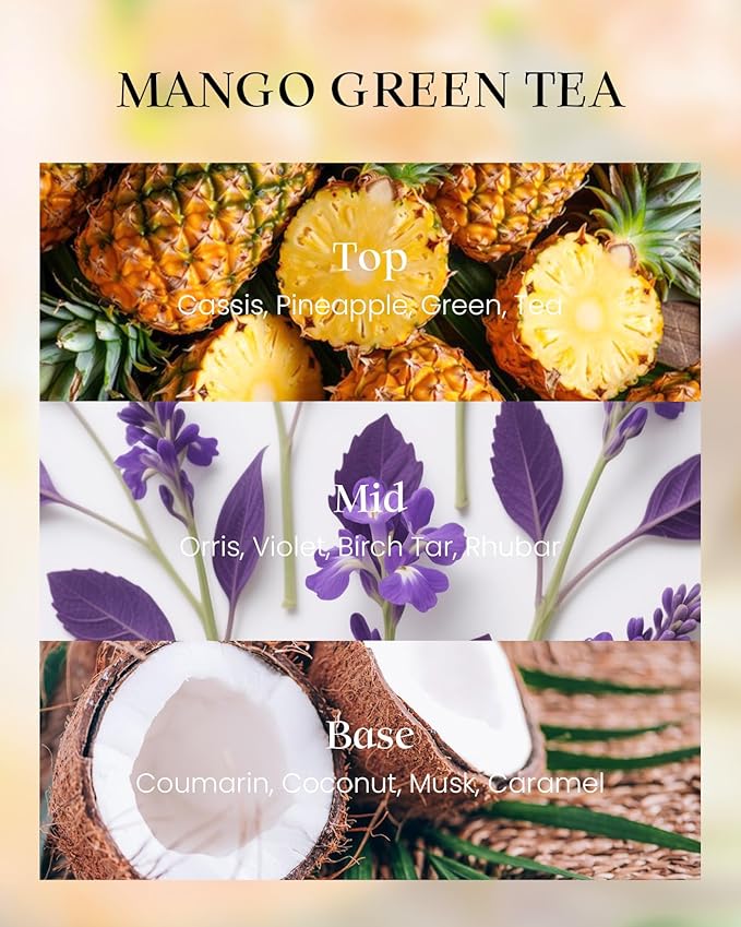 M&SENSE Tea Scented Candles, Vegan Soy Wax, Naturally Scented Mango Green Tea No Toxin 8.1oz Long Lasting 42-Hour Burn Time Relaxing, Aromatherapy, Meditation Candles for Home - Bloomnest