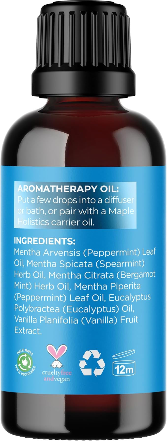 Mint Essential Oil Blend for Diffuser - Refreshing Mint Oil Diffuser Essential Oils with Cooling Peppermint Spearmint Bergamot and Eucalyptus Oils - Pure Aromatherapy Oils for Diffuser - Bloomnest