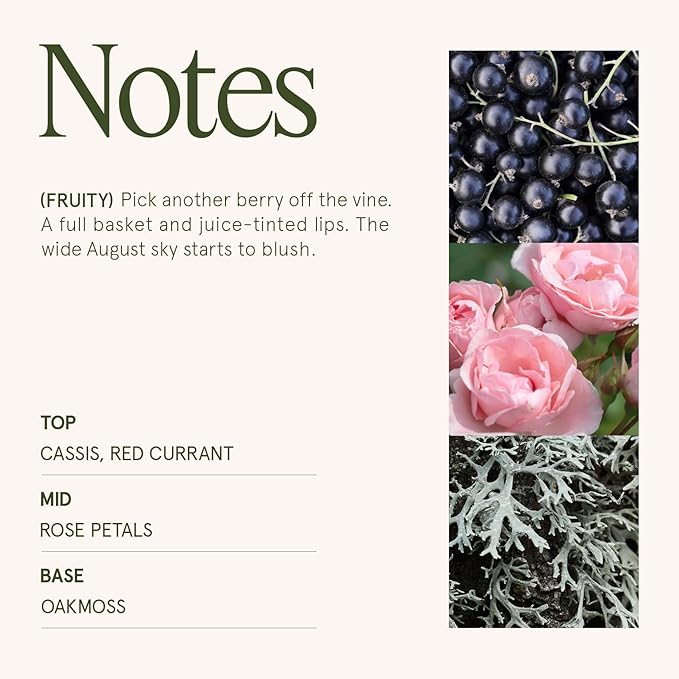 LA JOLIE MUSE Hey Baies Candles - Red Currant, Rose, Oakmoss | 6 oz Natural Soy Wax | 40 Hours Clean Burn | Berry Scented Candle | Gift-Ready for Hosts & Gatherings - Bloomnest