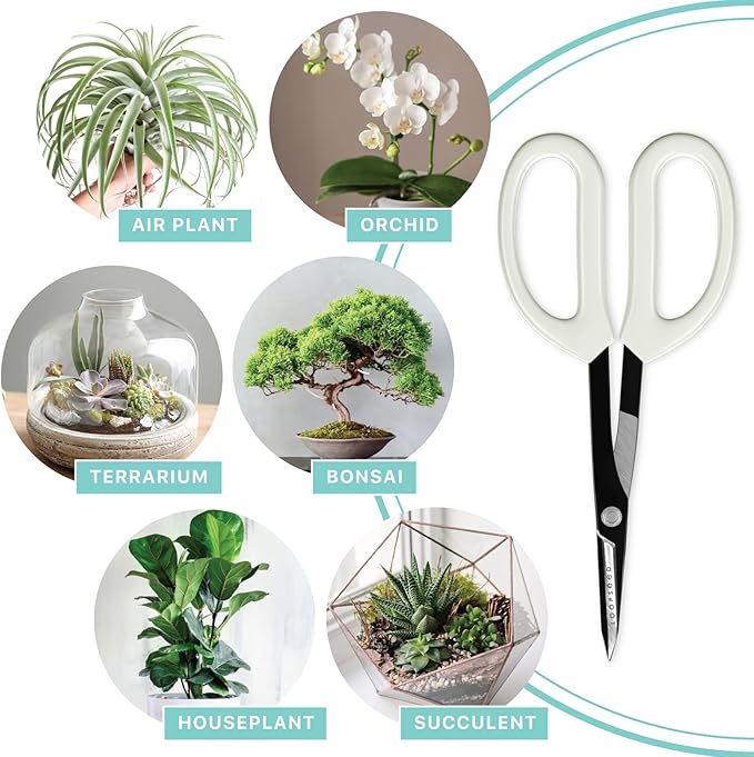 Precision Gardening Scissors Plant Trimming Pruning Shears Garden Pruners for Orchid Bonsai Hydroponic Flower Clipper Garden Snip 8 Inch Long - Bloomnest
