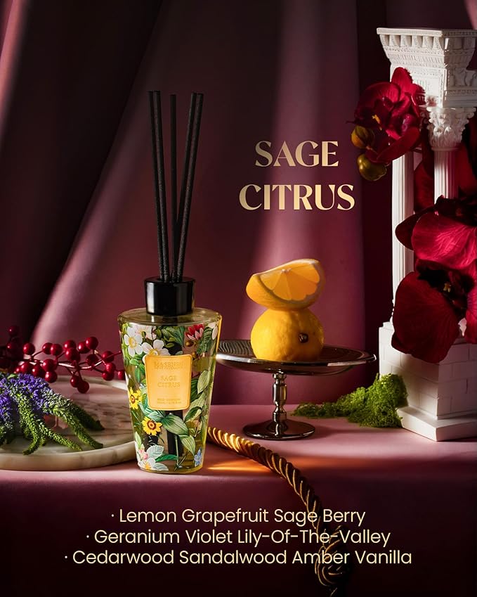 M&SENSE Sage Citrus Reed Diffuser Set - 8.79fl oz Home Fragrance Non-Toxic Essential Oil Diffuser with Sticks, Air Freshner Gifts with Long Lasting Fragrance MSENSE