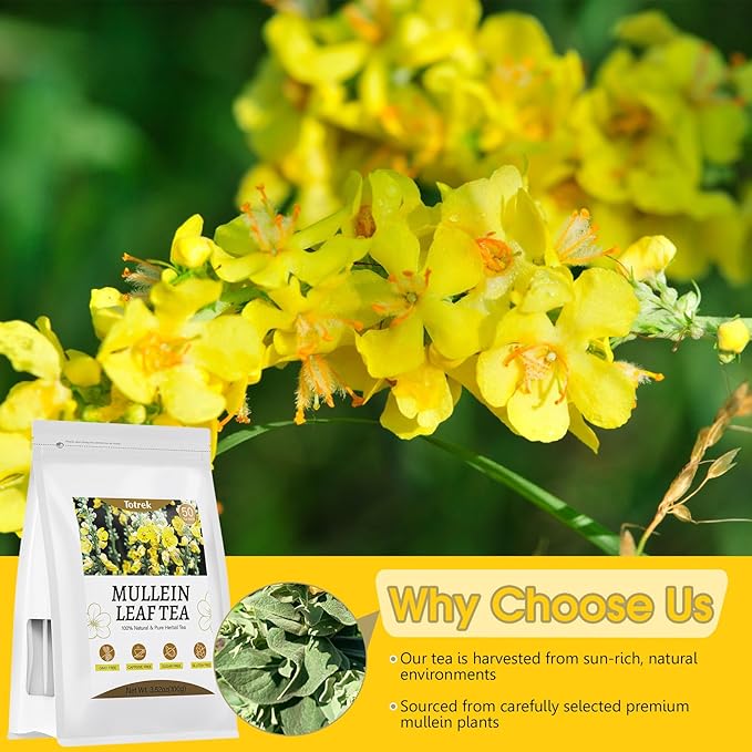 Mullein Leaf Tea Bags, 2g X 50 Bags, Organic Herbal Teas, Pure Mullein Leaves, Mullein Tea, Caffeine Free, Non-GMO, Caffeine-free - Bloomnest