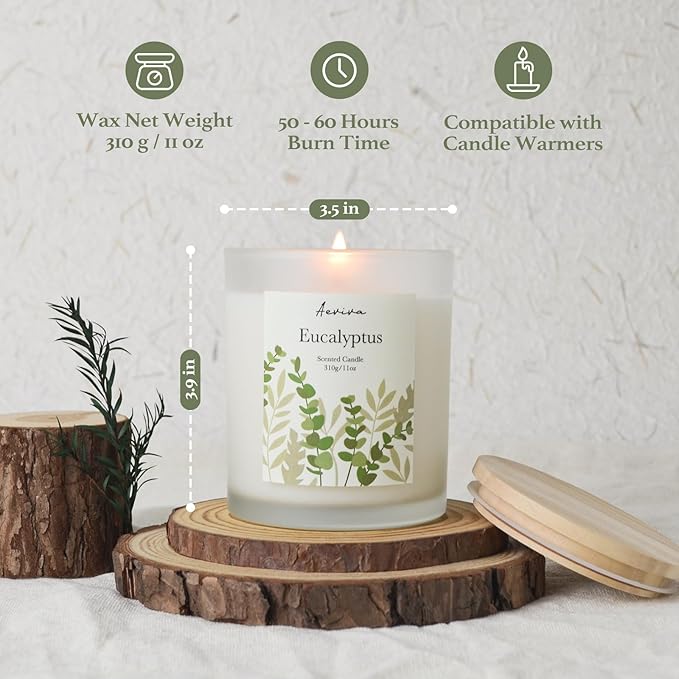 Eucalyptus Scented Candle, 11oz 60 Hour Burn, Natural Soy Wax with Thick Cotton Wick, Highly Scented Aromatherapy Candle for Stress Relief & Meditation, Gifts for Women & Men - Bloomnest
