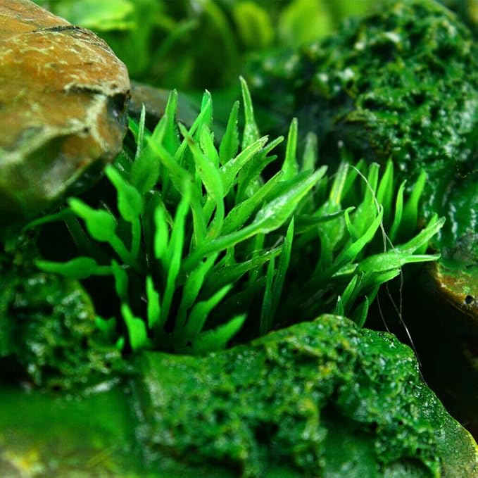 Tabletop Fountain Waterfall Fountain Indoor Humidifier with Rockery,Waterfall,Plant,Lamp Desk Fountain Desk Decorations for Office Home Bedroom US Stock