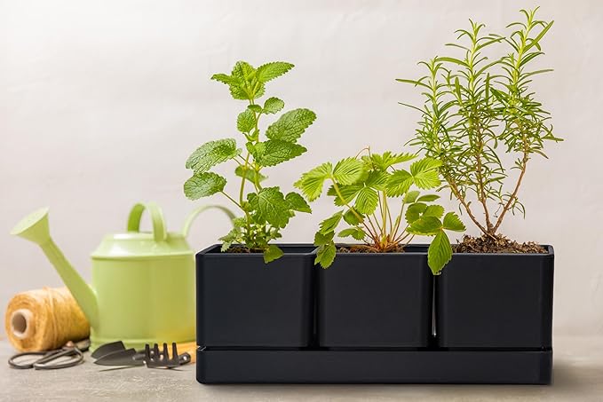 D'vine Dev Herb Garden Planter Set, Plastic Plant Pots with Drainage and Saucer, Indoor Succulent Cactus Vegetable Pot for Windowsill, Garden Balcony, Black, Set of 2, 76-V-B-2 - Bloomnest