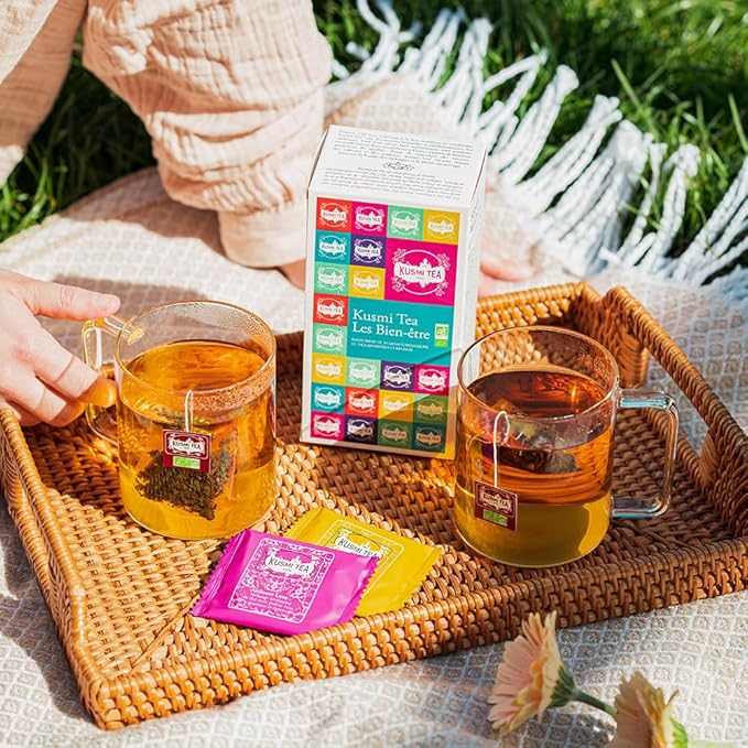 Kusmi Tea - Organic Tea Gift Set - Sampler Assortment Variety Box - Gift Idea for Men and Women - Green Tea, Herbal Tea, Detox - A Selection of 6 Recipes - 24 Tea Bags - Kusmi Wellness Set - Bloomnest