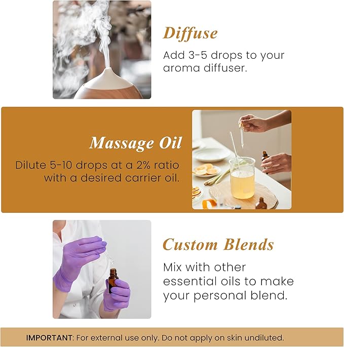 Handcraft Blends Cinnamon Essential Oil – 1 Fl Oz – 100% Pure and Natural – Premium Grade Essential Oil for Diffuser and Aromatherapy, Skin, Massage, Candle and Soap Making Fragrance - Bloomnest