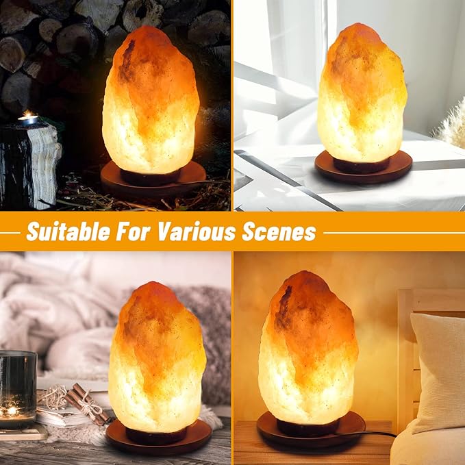 2 Pack Salt Lamp Cord Replacement with 2 Pack Wooden Tray and 8 Pack 15 Watts E12 Halogen Salt Lamp Bulbs - Bloomnest