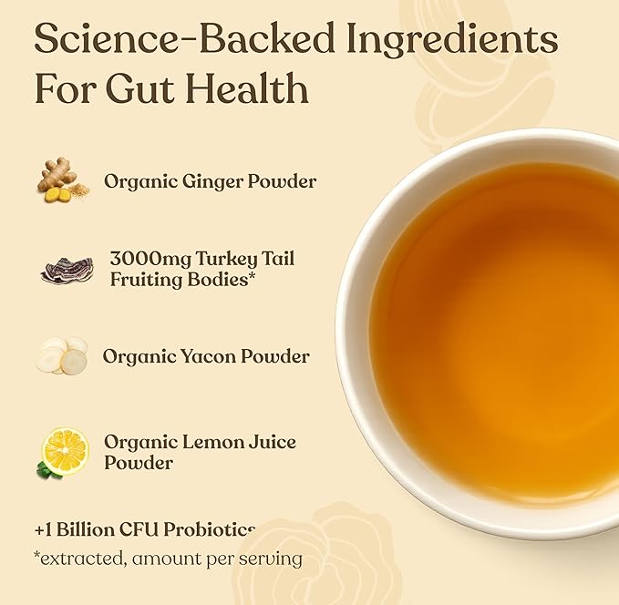 Four Sigmatic Gut Health Organic Herbal Tea | Organic Lemon Ginger Tea with Probiotics & Turkey Tail Mushroom | Instant Digestive Tea | Vegan, Gluten-Free | Lemon Ginger, 24 Servings - Bloomnest