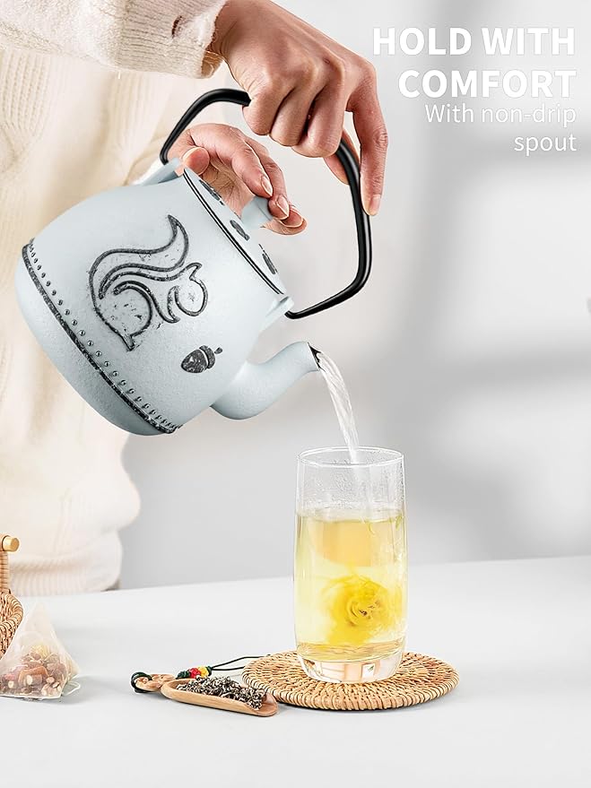 Toptier Teapot with Removable Infuser, Cast Iron Tea Kettle Stovetop Safe, Squirrel Design Tea Pot Coated with Enameled Interior for 32 Ounce (950 ml), Light Blue - Bloomnest